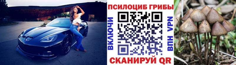 как найти закладки  Островной  Галлюциногенные грибы Psilocybe 